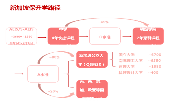 新加坡升学流程.png